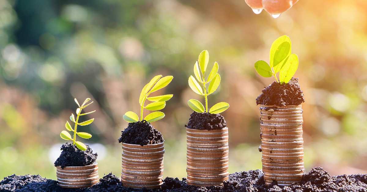 Agricultural Supplies